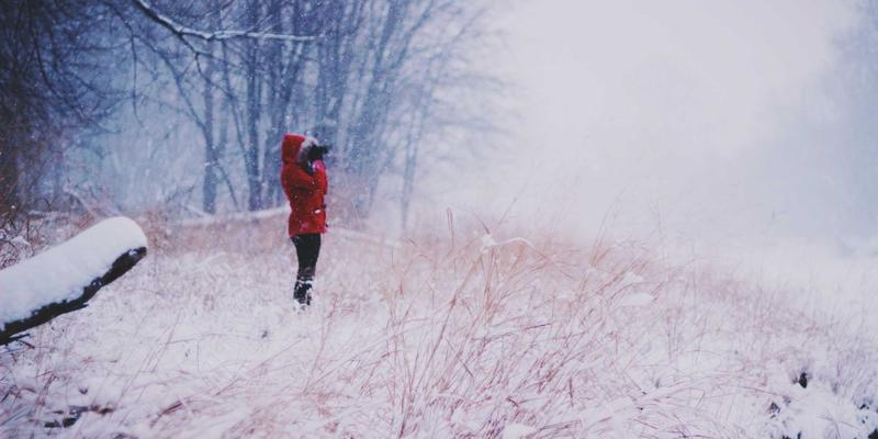 Amazon announces new Firestick Update